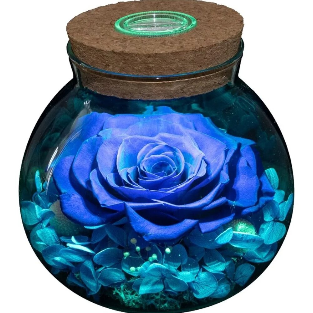 Roliys Preserved REAL ROSE with Colorful Mood Light Wishing Bottle, Eternal Rose